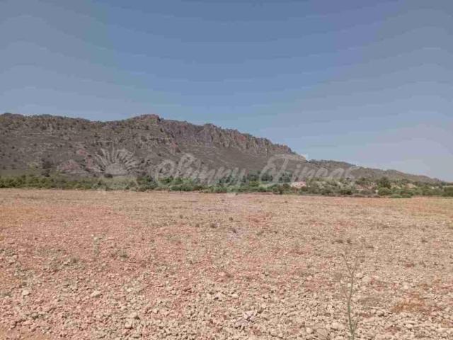 Terrenos Yecla Murcia 96288450