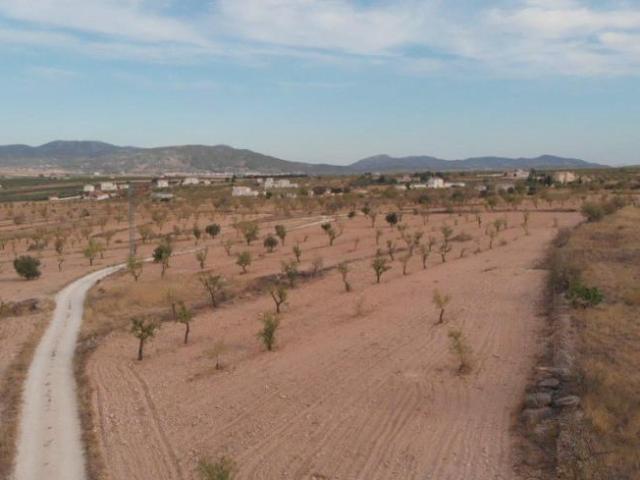 Terrenos Yecla Murcia 99005216