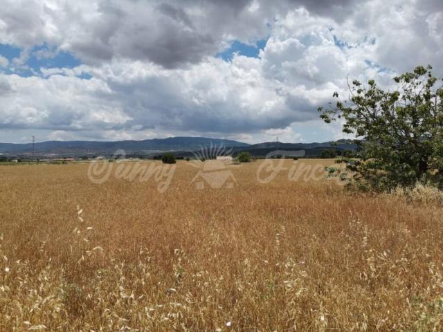 Terrenos Yecla Murcia LS93373425