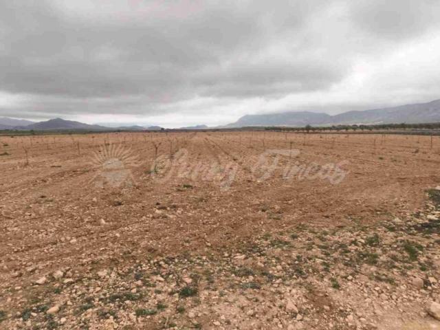 Terrenos Yecla Murcia LS100490027