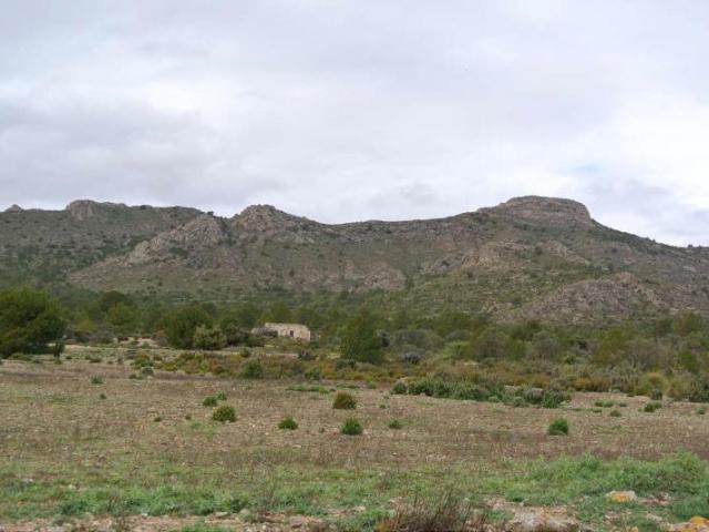Terrenos Yecla Murcia LS101138158