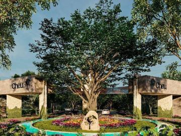 Terrenos a 5 minutos del Pueblo Mágico de Izamal