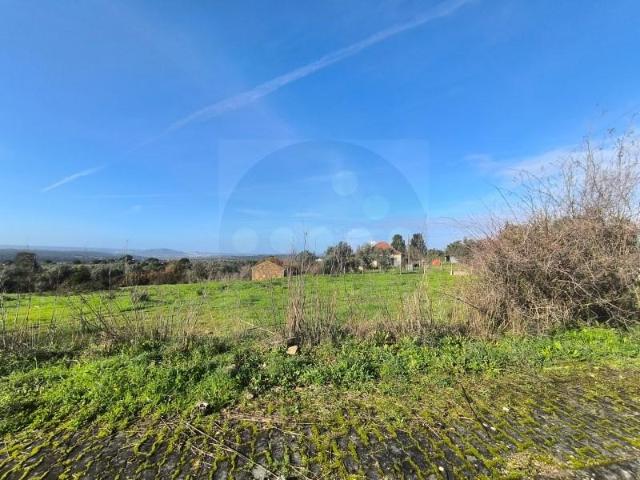 Terrenos Abrantes Abrantes DLS98332665