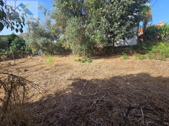 Terrenos Abrantes Abrantes DLS101958733