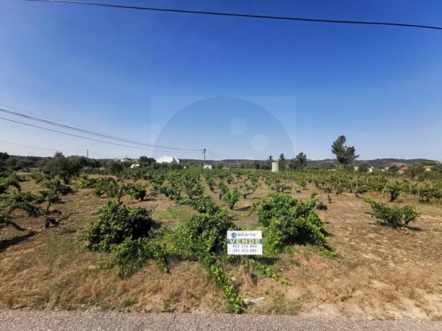 Terrenos Abrantes Abrantes DLS101964715