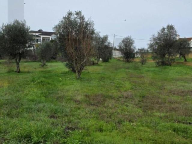 Terrenos Abrantes Abrantes DLS102445449