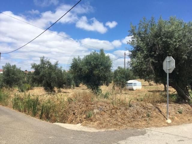 Terrenos Abrantes Abrantes DLS102232306