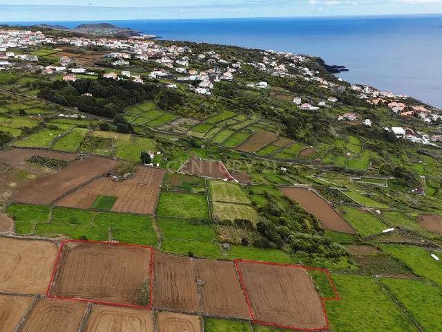 Terrenos agrícolas na zona da Ladeira Grande – Ribeirinha, Ilha Terceira
