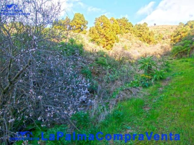 Terrenos Aguatavar Santa Cruz De Tenerife LS96291594