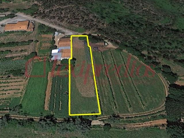 Terrenos Águeda Águeda DLS102270594