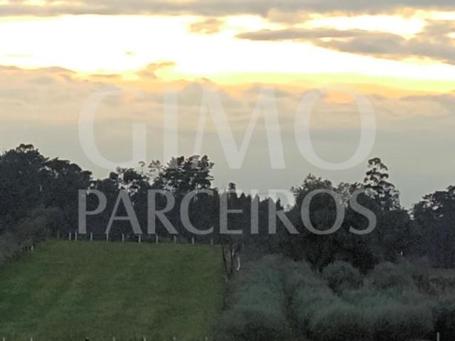 Terrenos Águeda Águeda DLS87421239