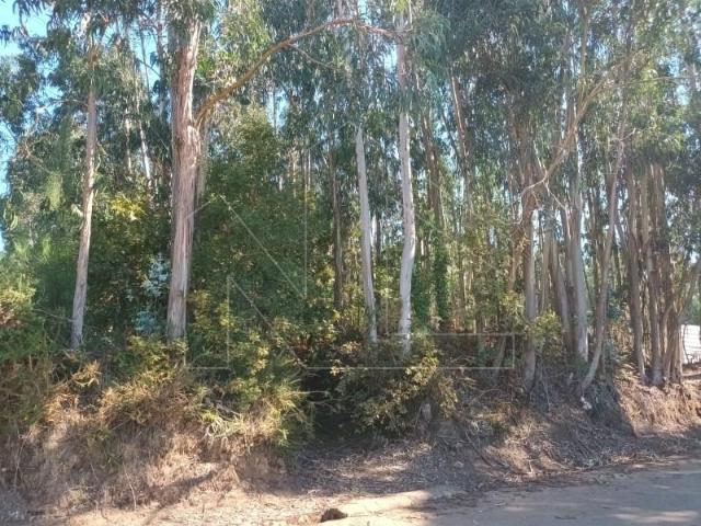 Terrenos Águeda Águeda DLS95020868
