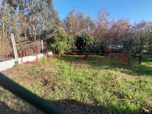 Terrenos Águeda Águeda DLS96584800
