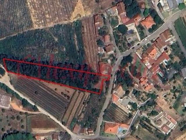Terrenos Águeda Águeda DLS97115809