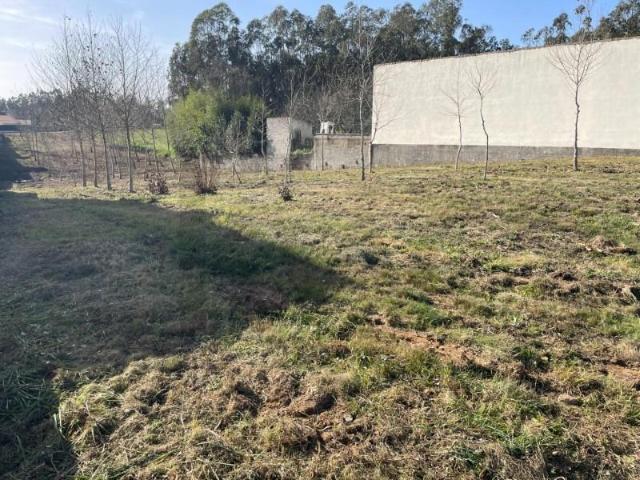 Terrenos Águeda Águeda DS100497199