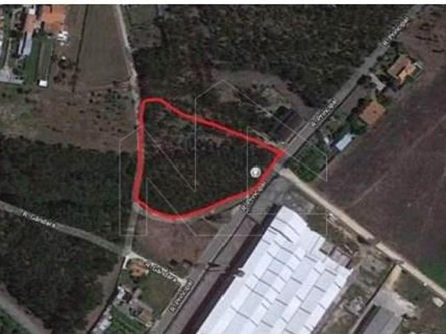 Terrenos Águeda Águeda DS100936436