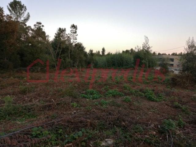Terrenos Águeda Águeda DS101014246