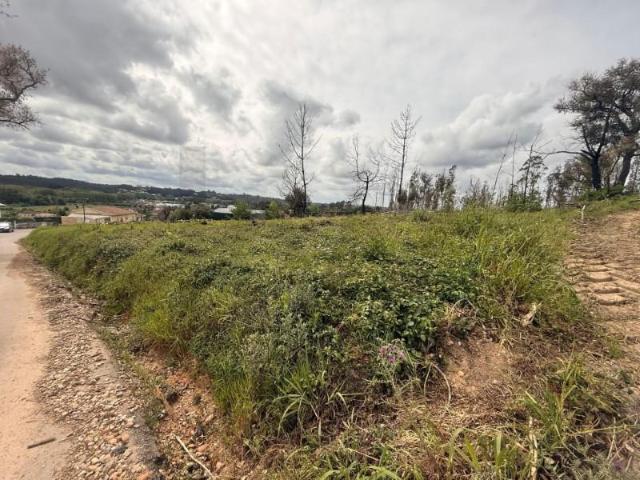 Terrenos Águeda Águeda DS101309787