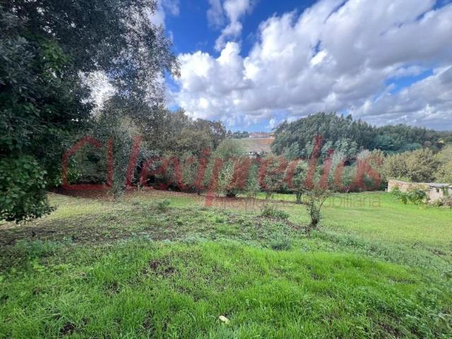 Terrenos Águeda Águeda DS101459920