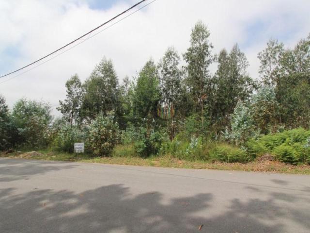Terrenos Águeda Águeda DS101538638