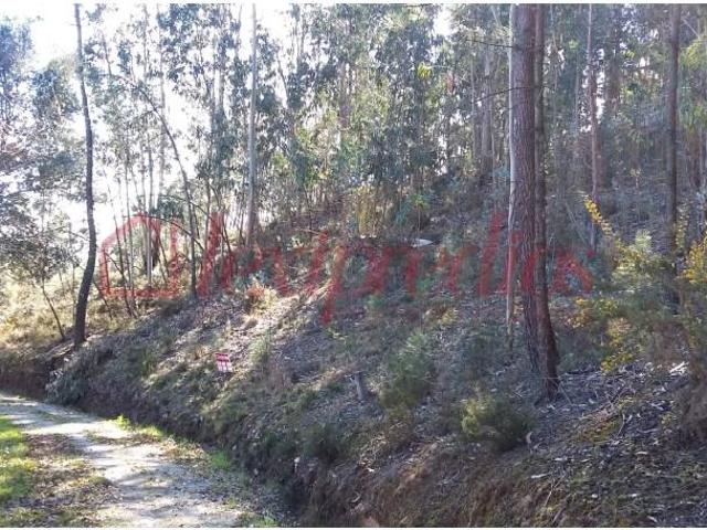 Terrenos Águeda Águeda DS102134385