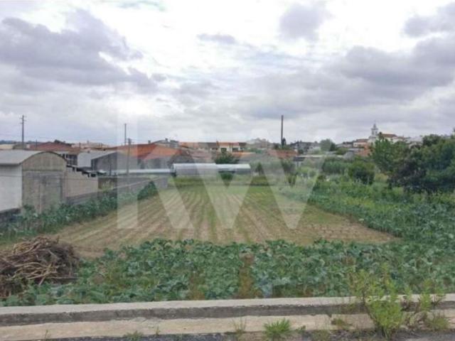 Terrenos Águeda Águeda DS102175191