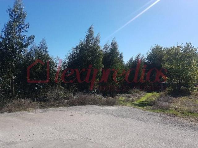 Terrenos Águeda Águeda DS102338497