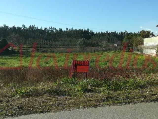 Terrenos Águeda Águeda DS87779811