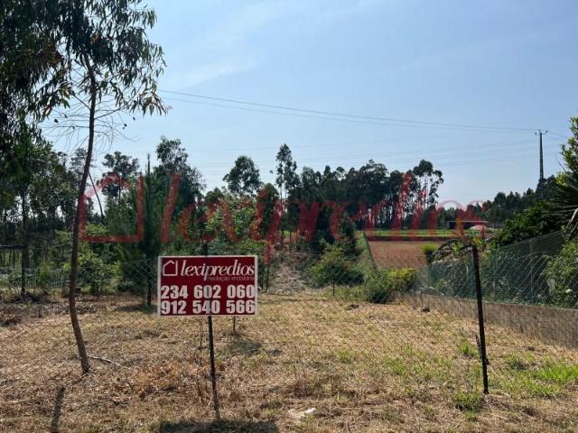 Terrenos Águeda Águeda DS87099853