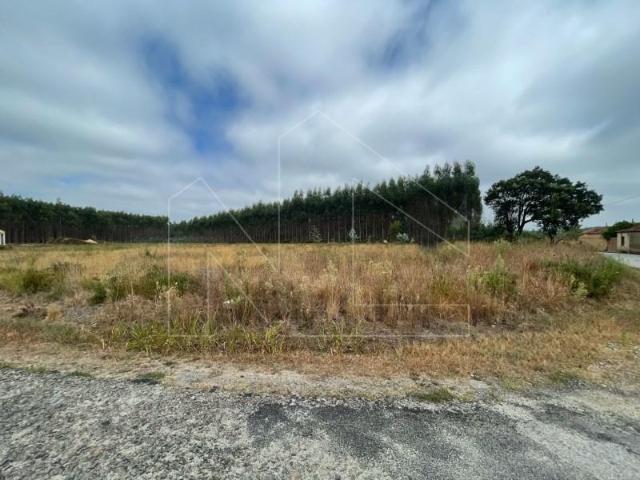 Terrenos Águeda Águeda DS89076694