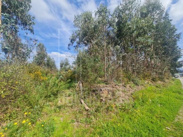 Terrenos Águeda Águeda DS89232957