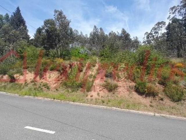 Terrenos Águeda Águeda DS90915789