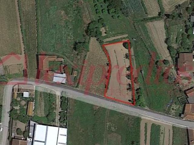 Terrenos Águeda Águeda DS90181874