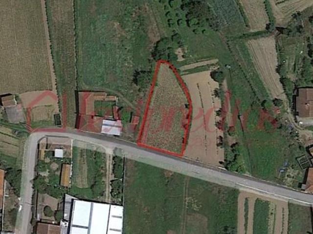 Terrenos Águeda Águeda DS90181881