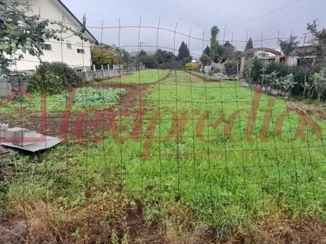 Terrenos Águeda Águeda DS93614866