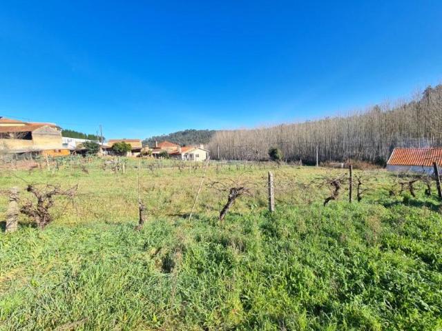 Terrenos Águeda Águeda DS95482670