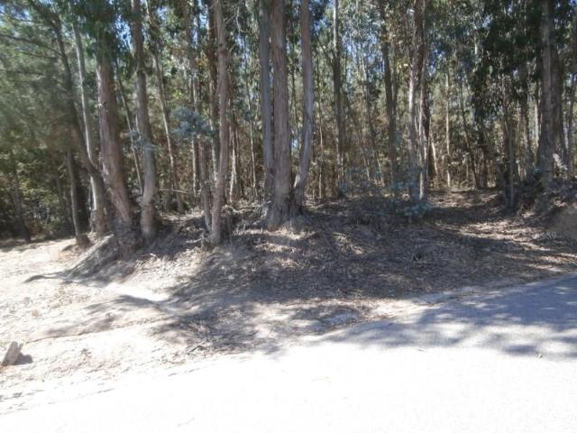 Terrenos Águeda Águeda DS97118481