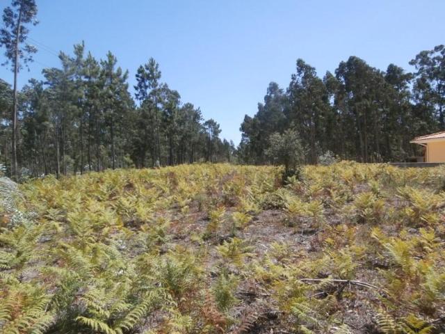 Terrenos Águeda Águeda DS97118482