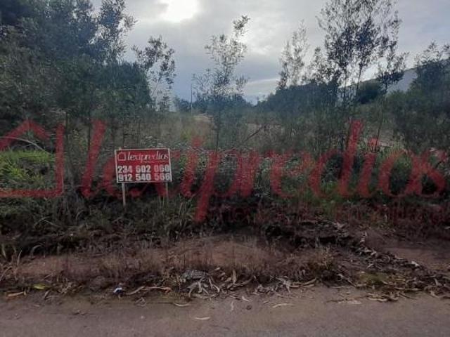 Terrenos Águeda Águeda DS97118159