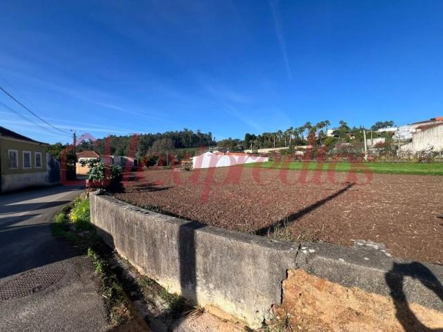 Terrenos Águeda Águeda DS97118344