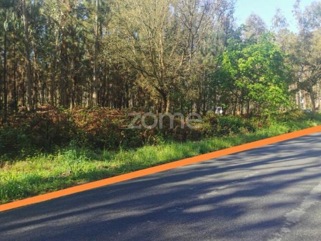 Terrenos Águeda Águeda DS97122982