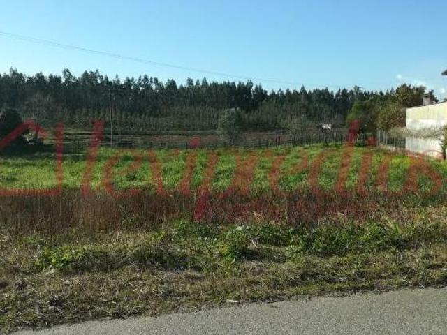 Terrenos Águeda Águeda DS97122104