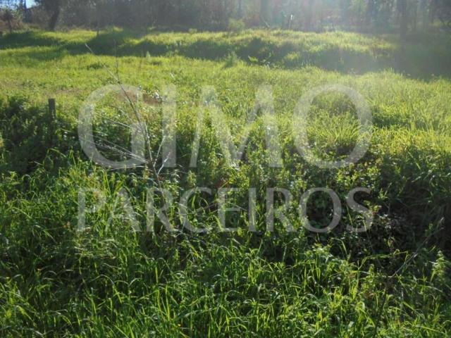 Terrenos Águeda Águeda DS98982720