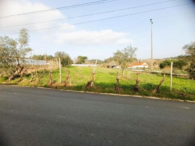 Terrenos Águeda Águeda DS99729324