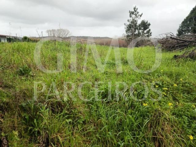 Terrenos Águeda Águeda DS99051417