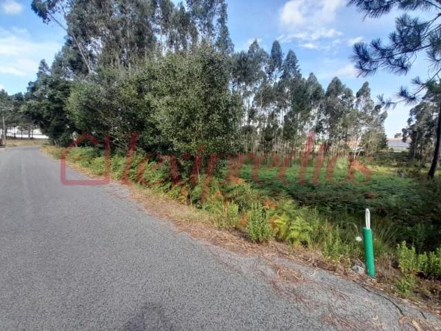 Terrenos Águeda Águeda 3750 430 DS94468416