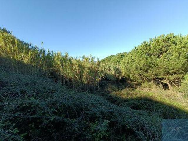 Terrenos Almada Setúbal 2825 836 DLS98135144