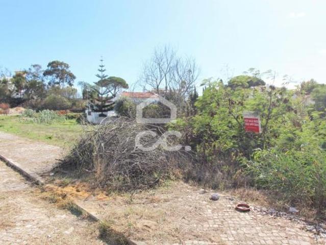 Terrenos Almada Setúbal DS66629440