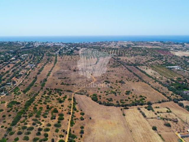 Terrenos Almadena Lagos 8600 DS92660734