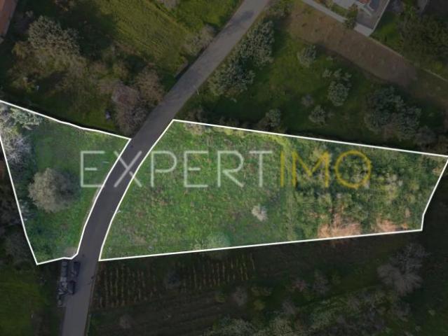 Terrenos Almalaguês Coimbra DS101501438